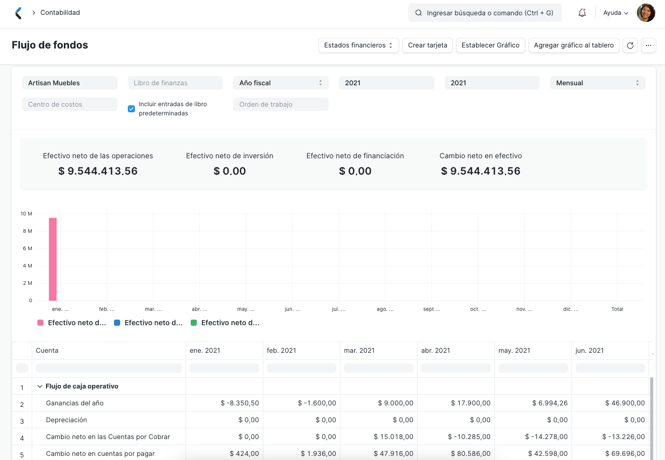 Cash Flow Statement