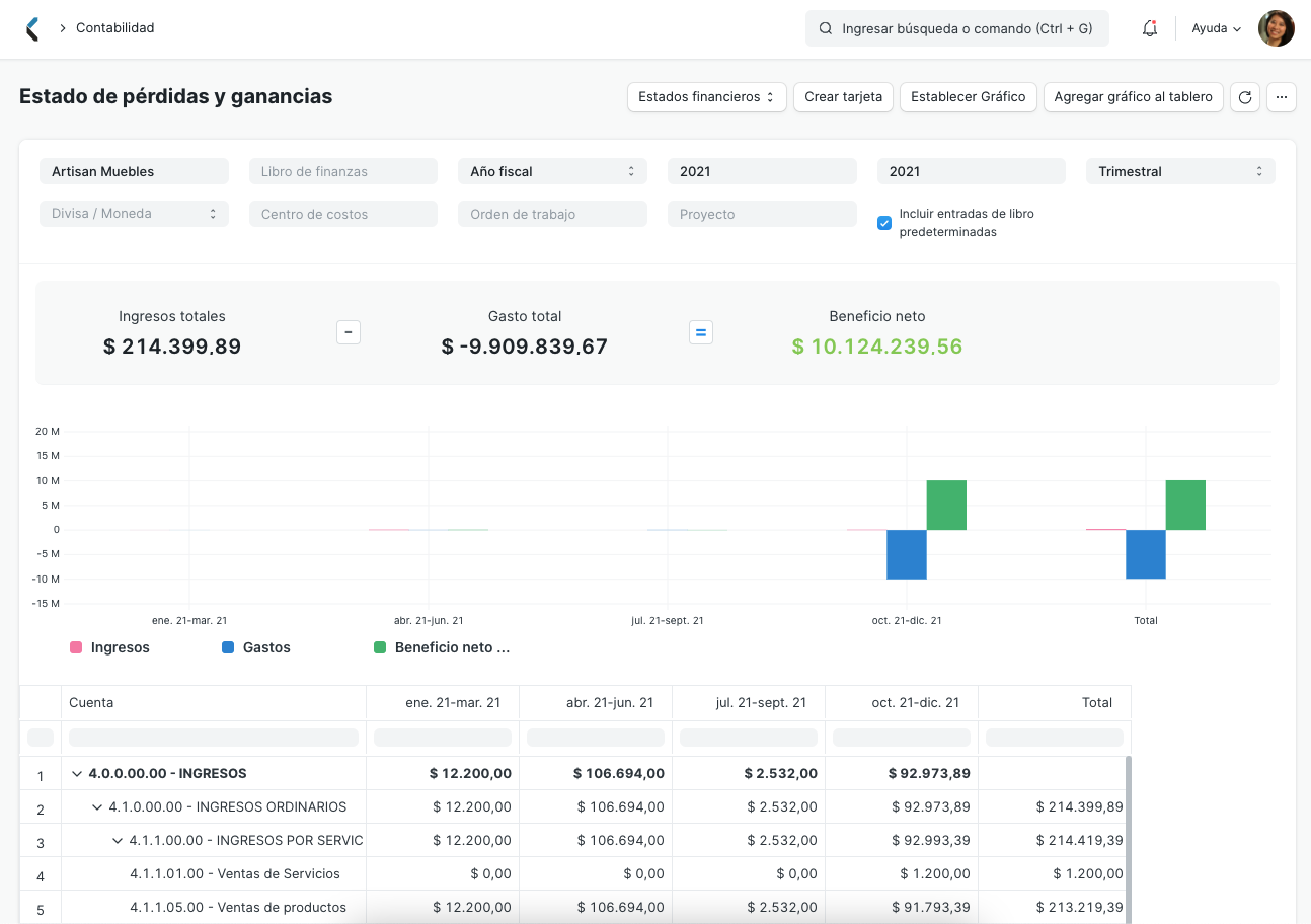 Profit and Loss Statement