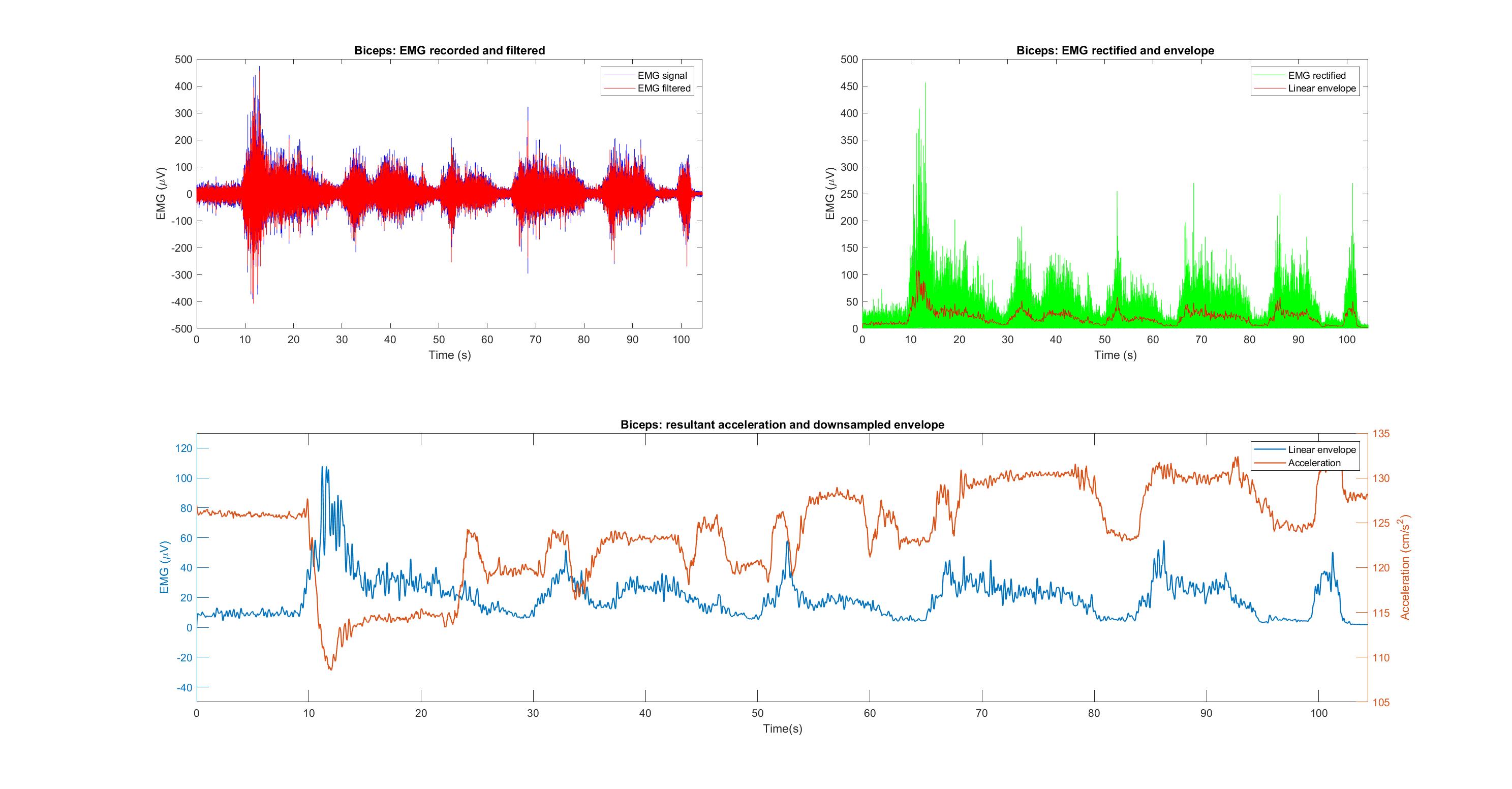 Biceps Preprocessing