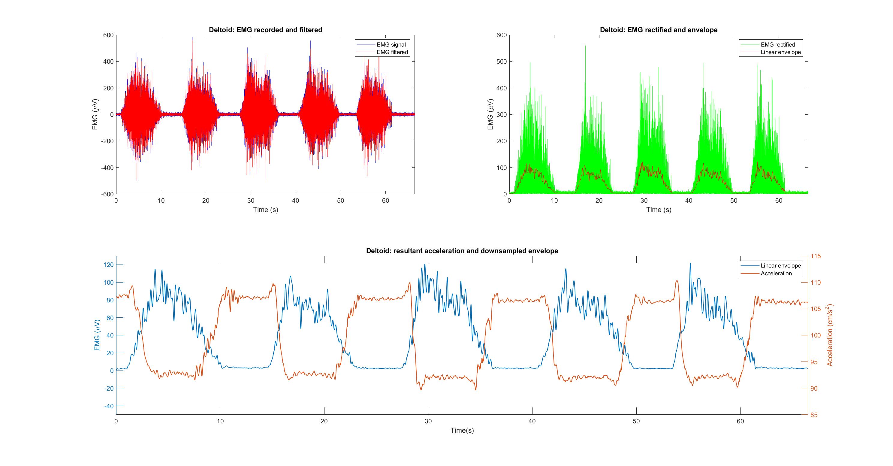 Deltoid Preprocessing