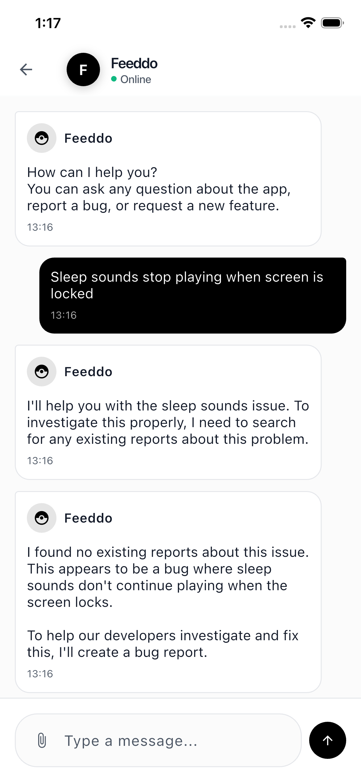 Bug Report Conversation