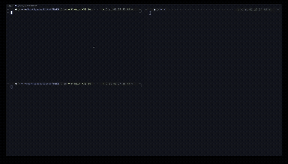 NoKV demo