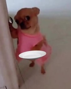 Fundo para o delivery quando nenhum dos dois quiser cozinhar
