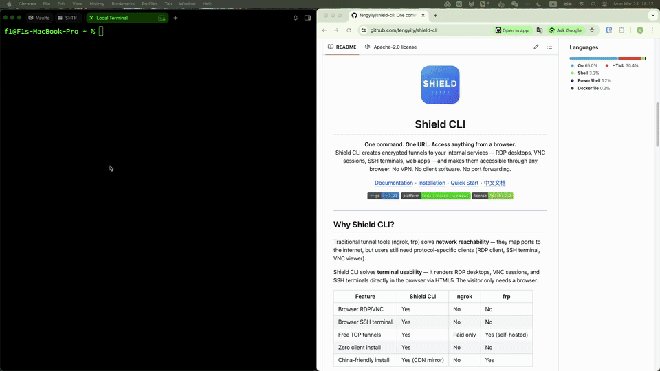 Shield CLI RDP Demo