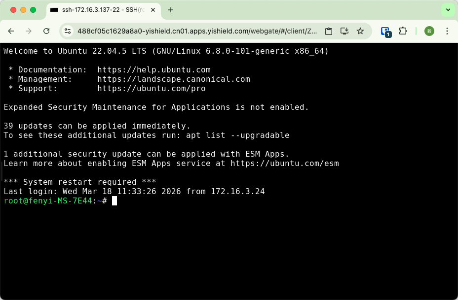 Browser SSH Terminal