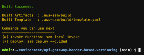 AWS SAM Build Output