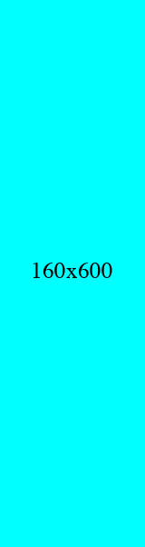 160x600 青色广告图