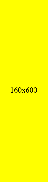 160x600 黄色广告图