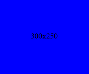 300x250 蓝色广告图