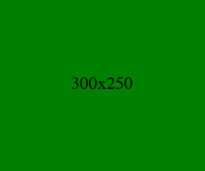 300x250 绿色广告图