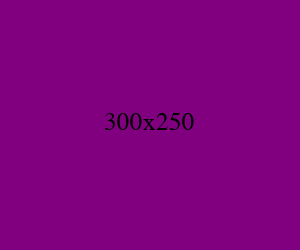 300x250 紫色广告图
