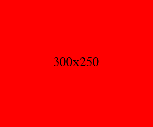 300x250 红色广告图