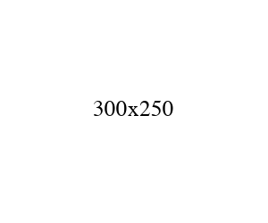 300x250 白色广告图
