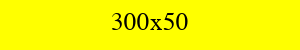 300x50 黄色广告图