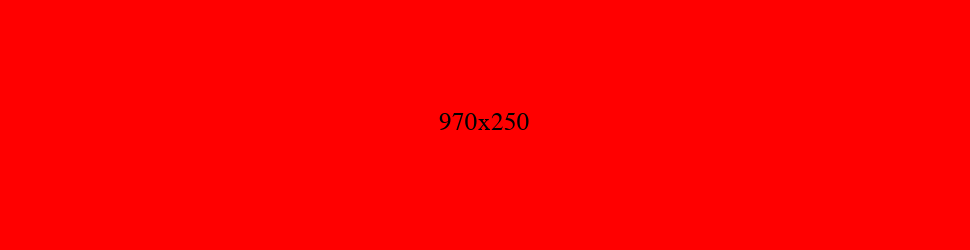 970x250 红色广告图