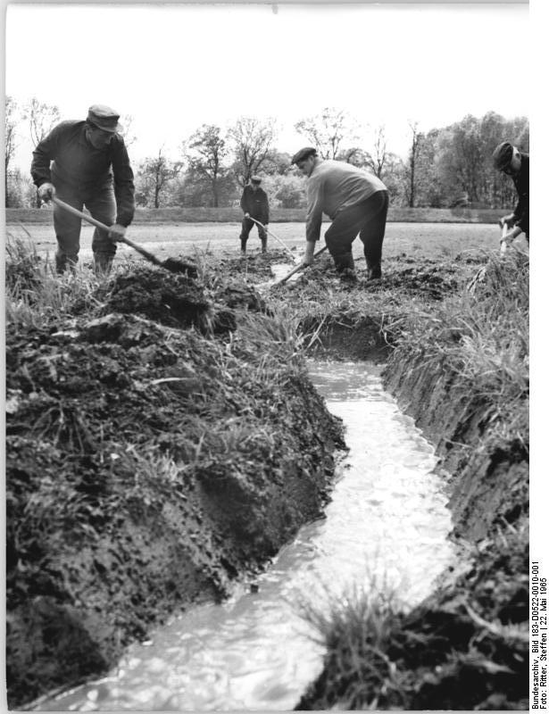 picture of some germans performing drainage