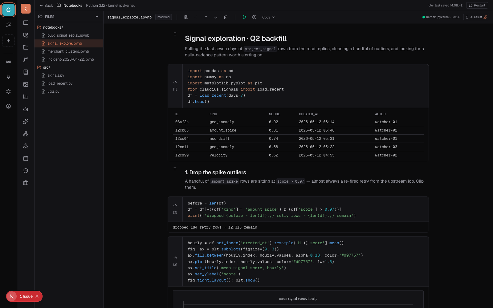 Jupyter-style notebook runner