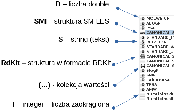 typy kolumn