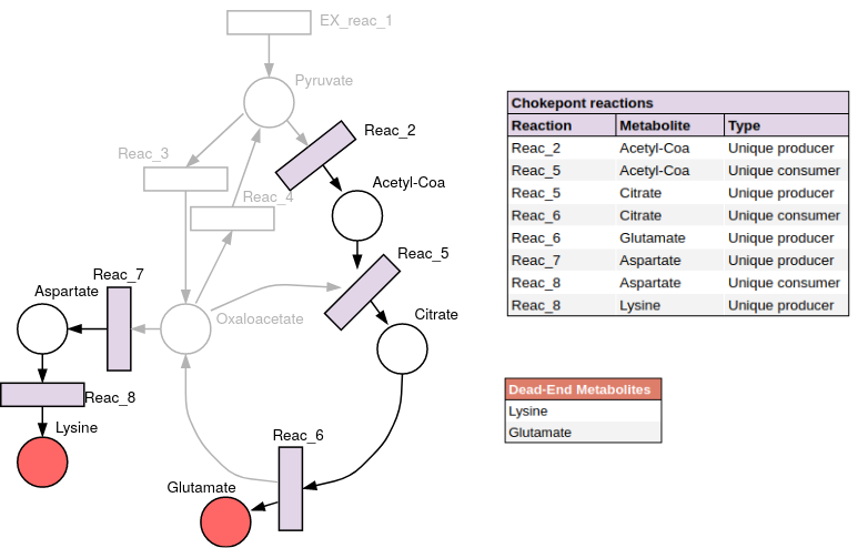 Chokepoint reactions and Dead-end metabolites example