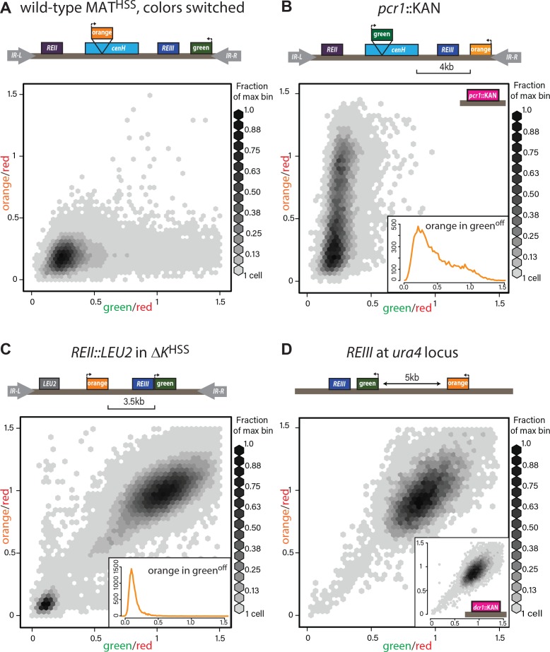 Figure 2-figure supplement 1.