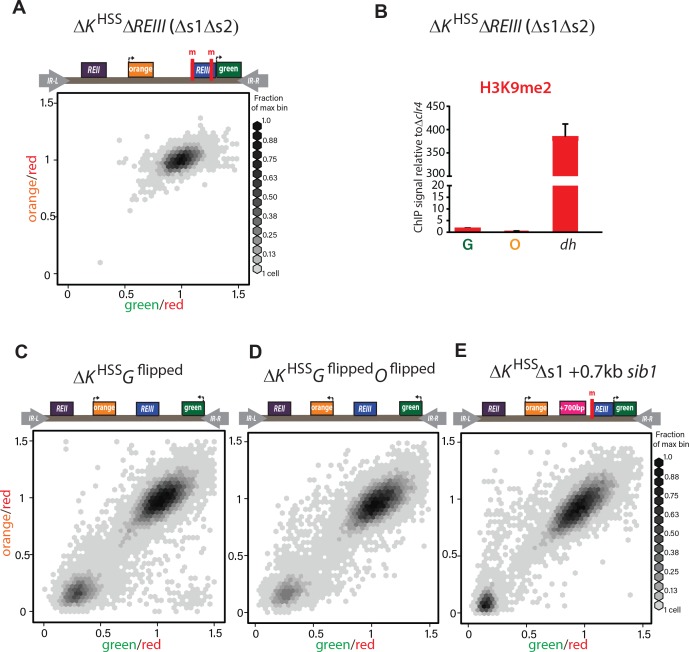 Figure 2-figure supplement 2.
