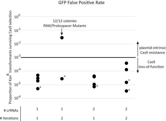 Figure 1-figure supplement 2.
