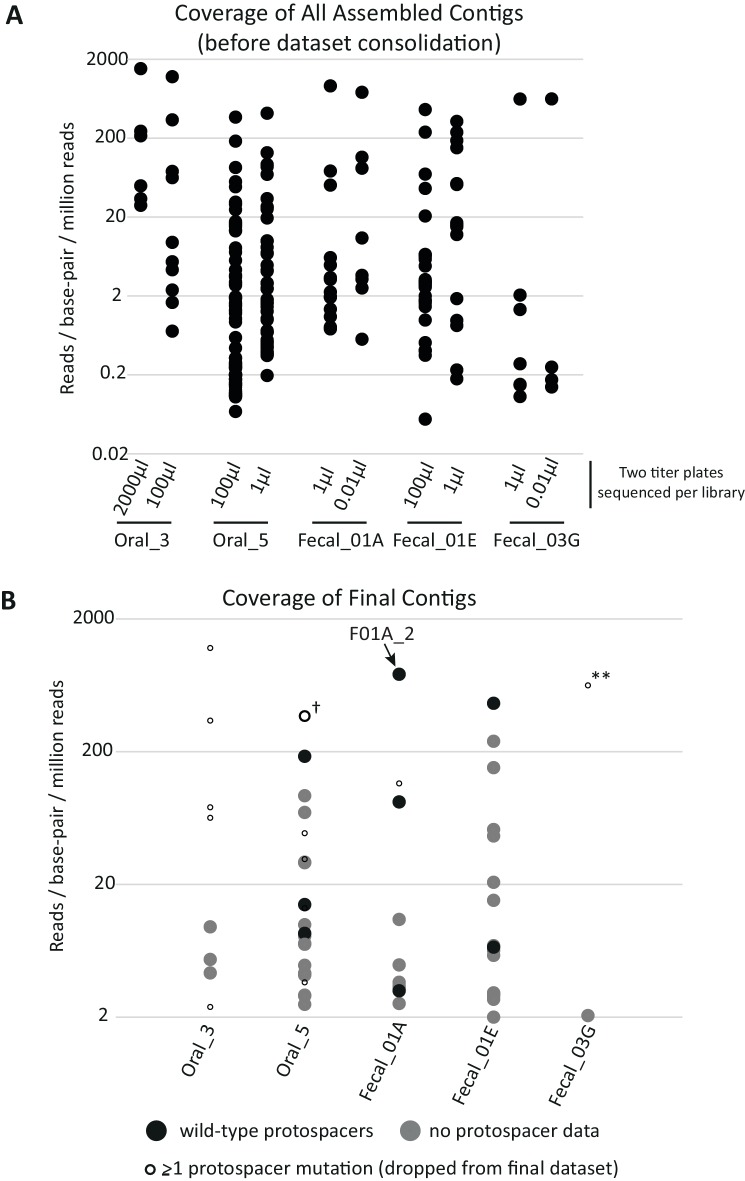 Figure 1-figure supplement 3.