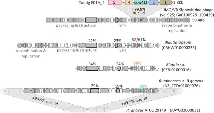 Figure 2-figure supplement 2.