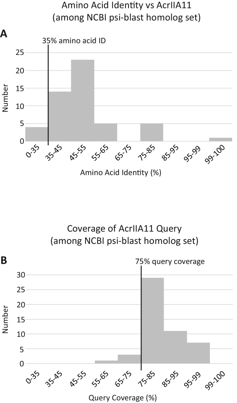 Figure 4-figure supplement 1.