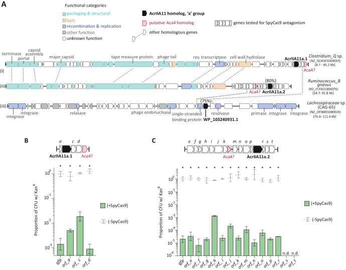 Figure 4-figure supplement 3.