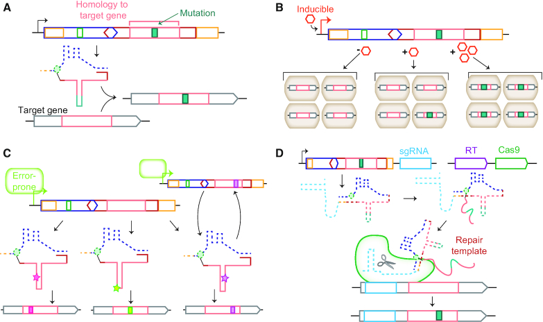Figure 4