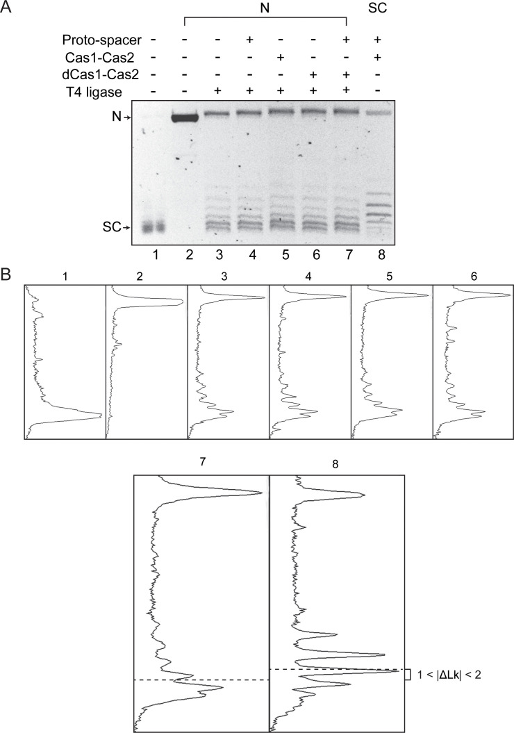 Figure 1—figure supplement 2
