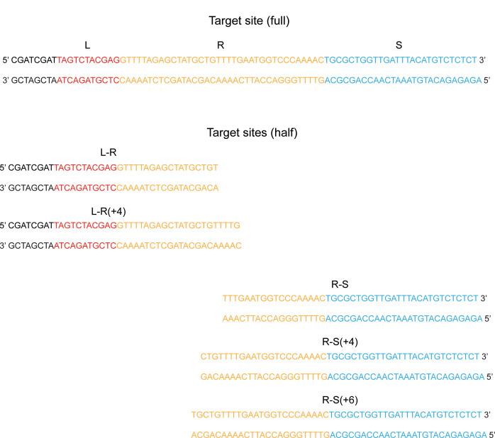 Figure 4—figure supplement 1