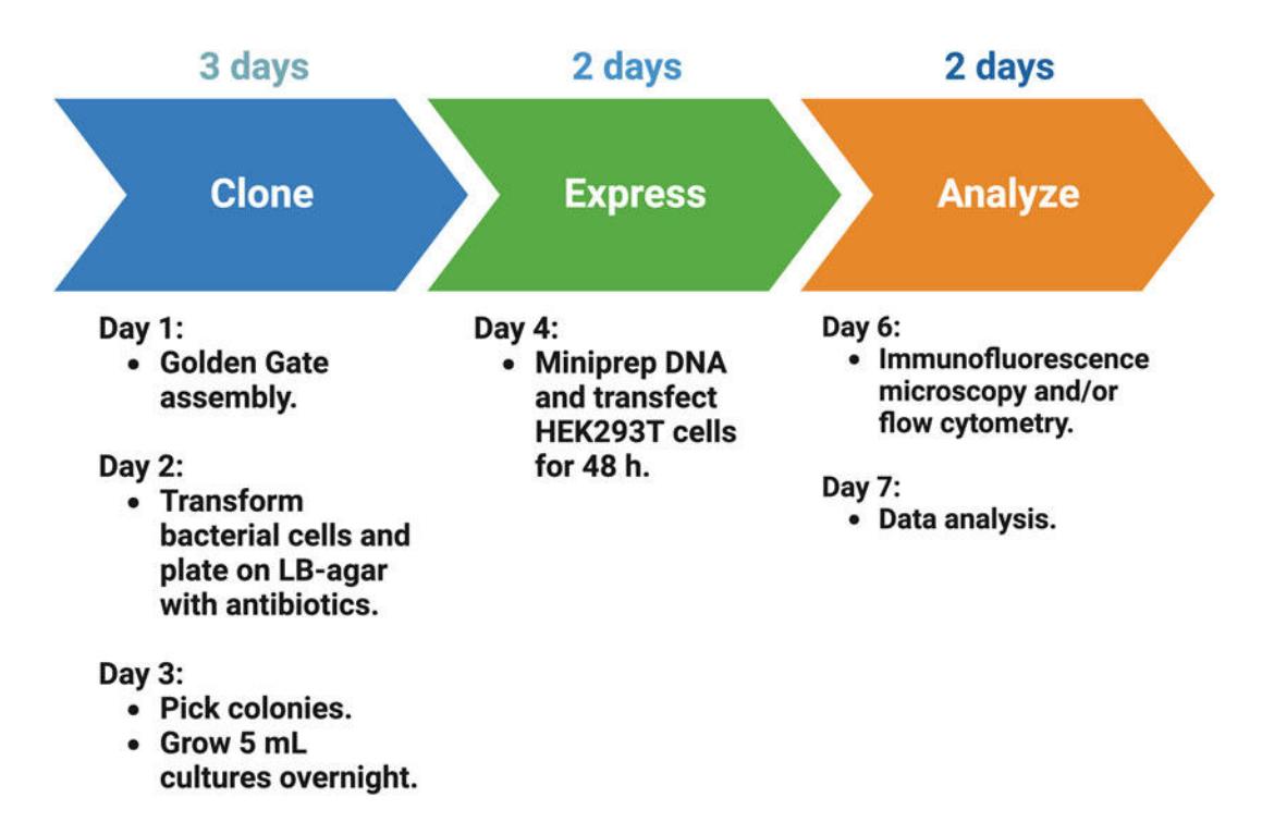 Figure 2