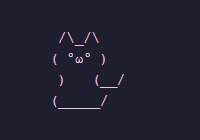 Void Cat
