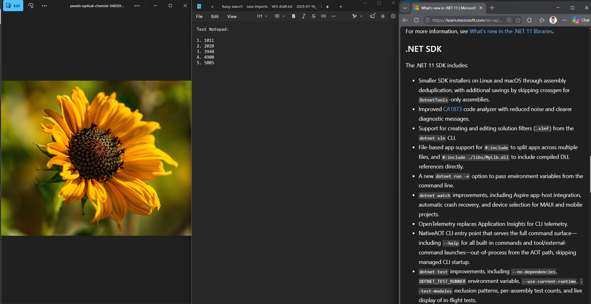 My monitor with three processes: A photo, A Notepad list and a docs page on Edge