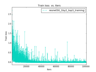 fine-tuning training loss