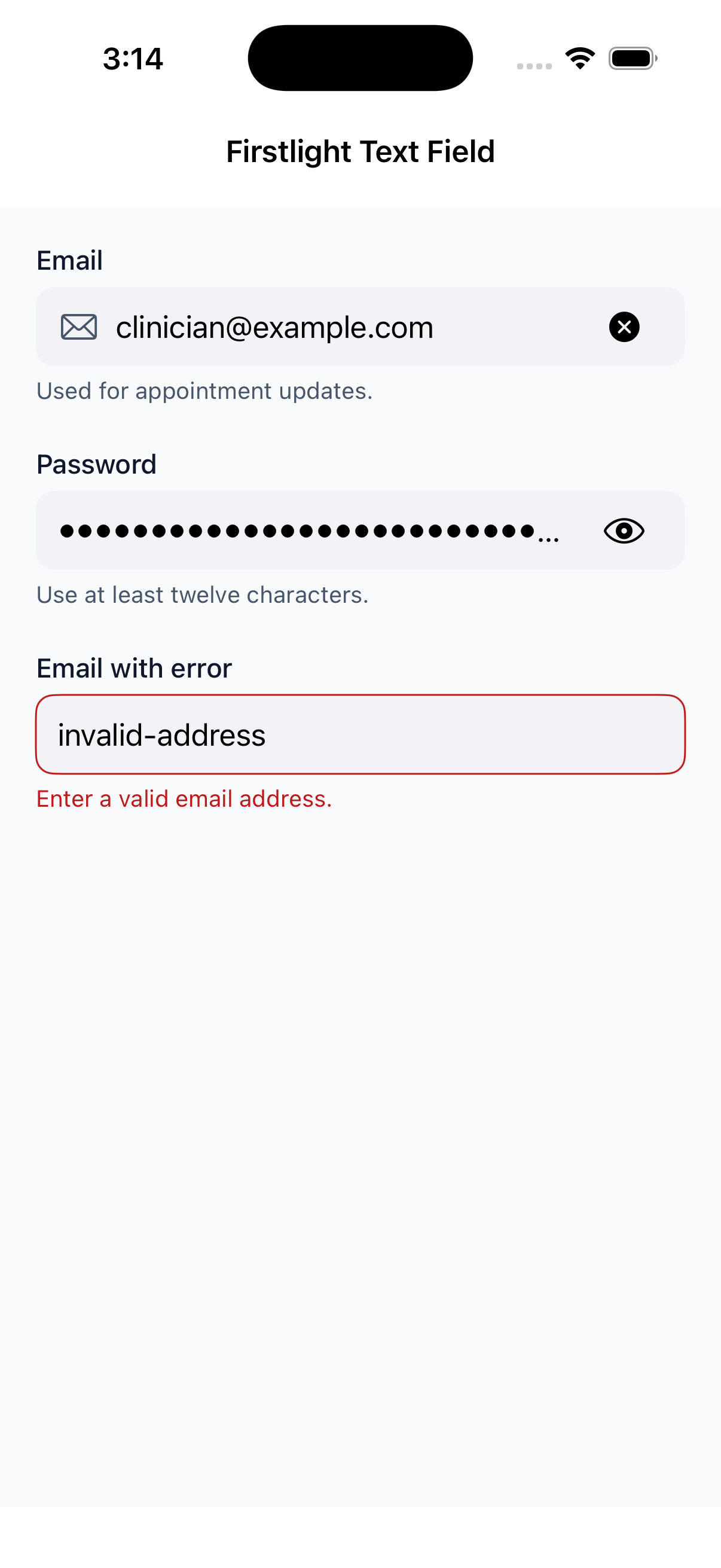 Text Field on iOS in light mode