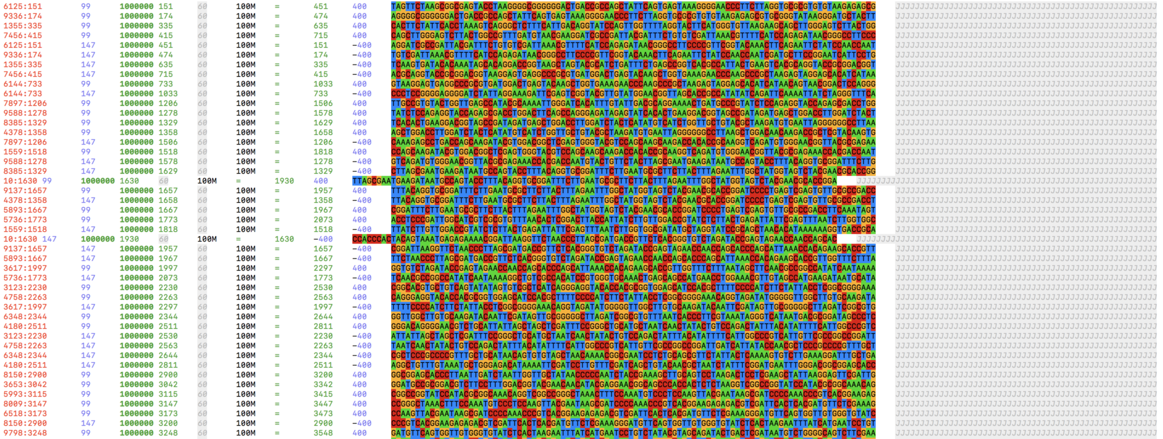 bioSyntax