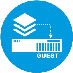 Infrastructure server vm guest