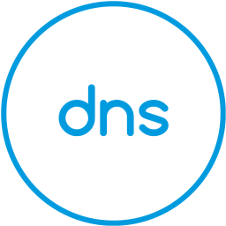 Service dns