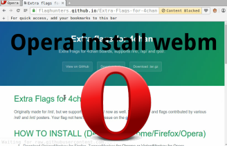 Opera install webm