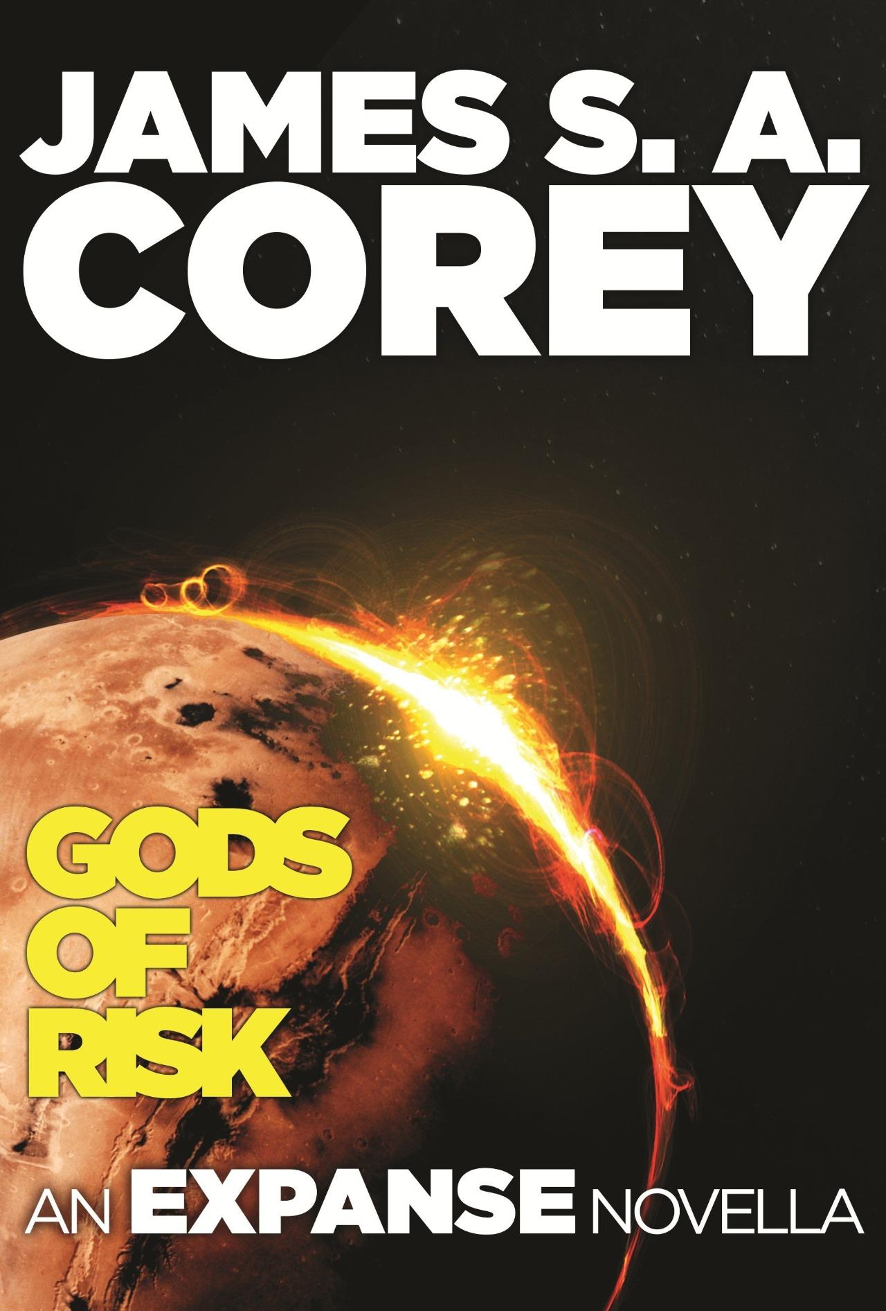 Book Cover for Gods of Risk