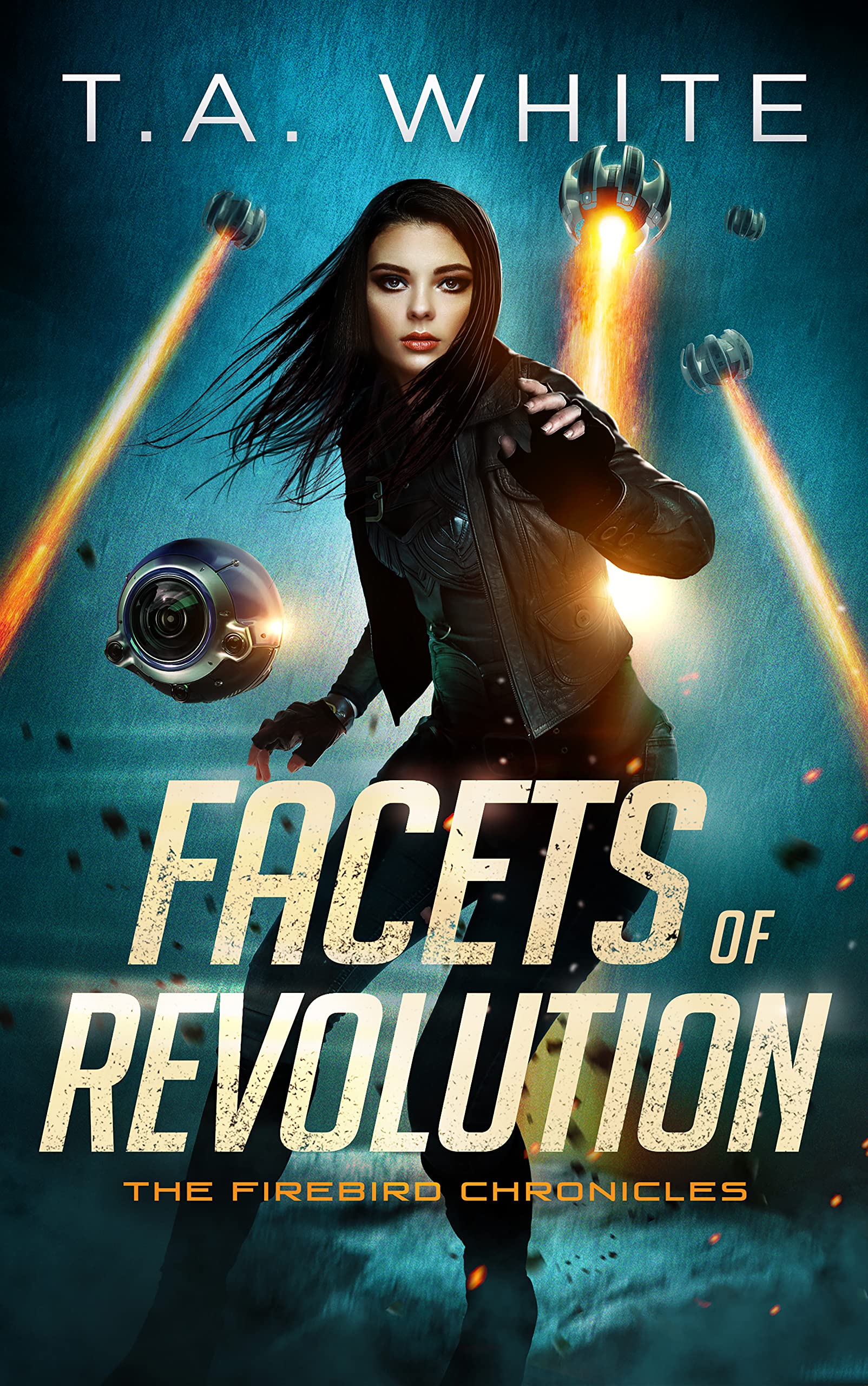 Book Cover for Facets of Revolution