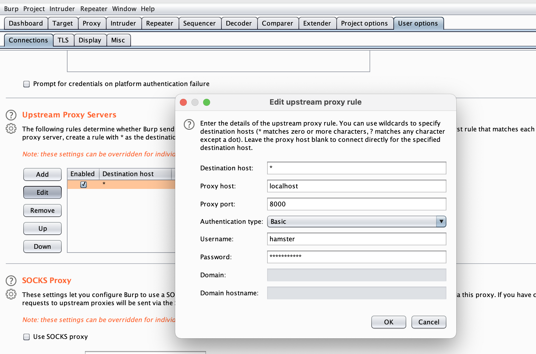 burpsuite_proxy