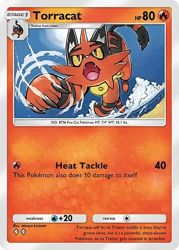Torracat
