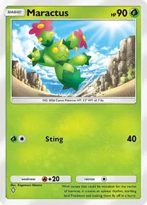 Maractus