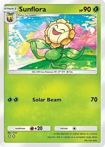 Sunflora