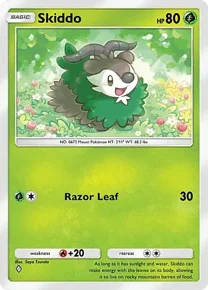 Skiddo
