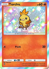 Torchic